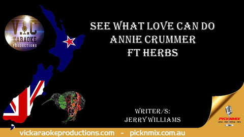 Annie Crummer ft Herbs - See What Love can Do (incl Male Vocal)